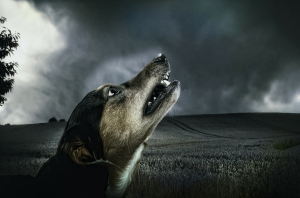 The Dog's Howl
